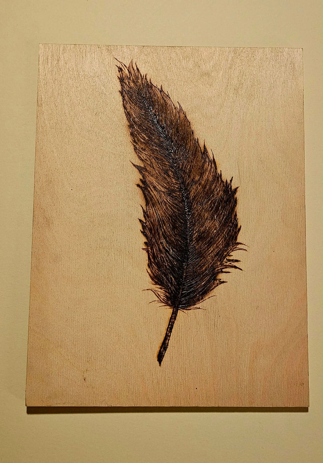 Wood Burned Feather Art