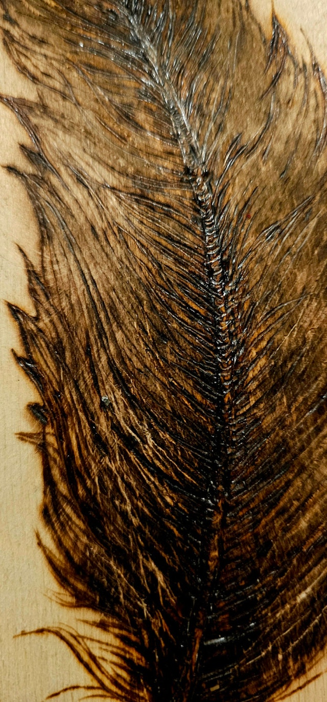 Wood Burned Feather Art - photo 2