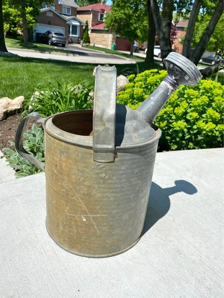 Metal Watering Can