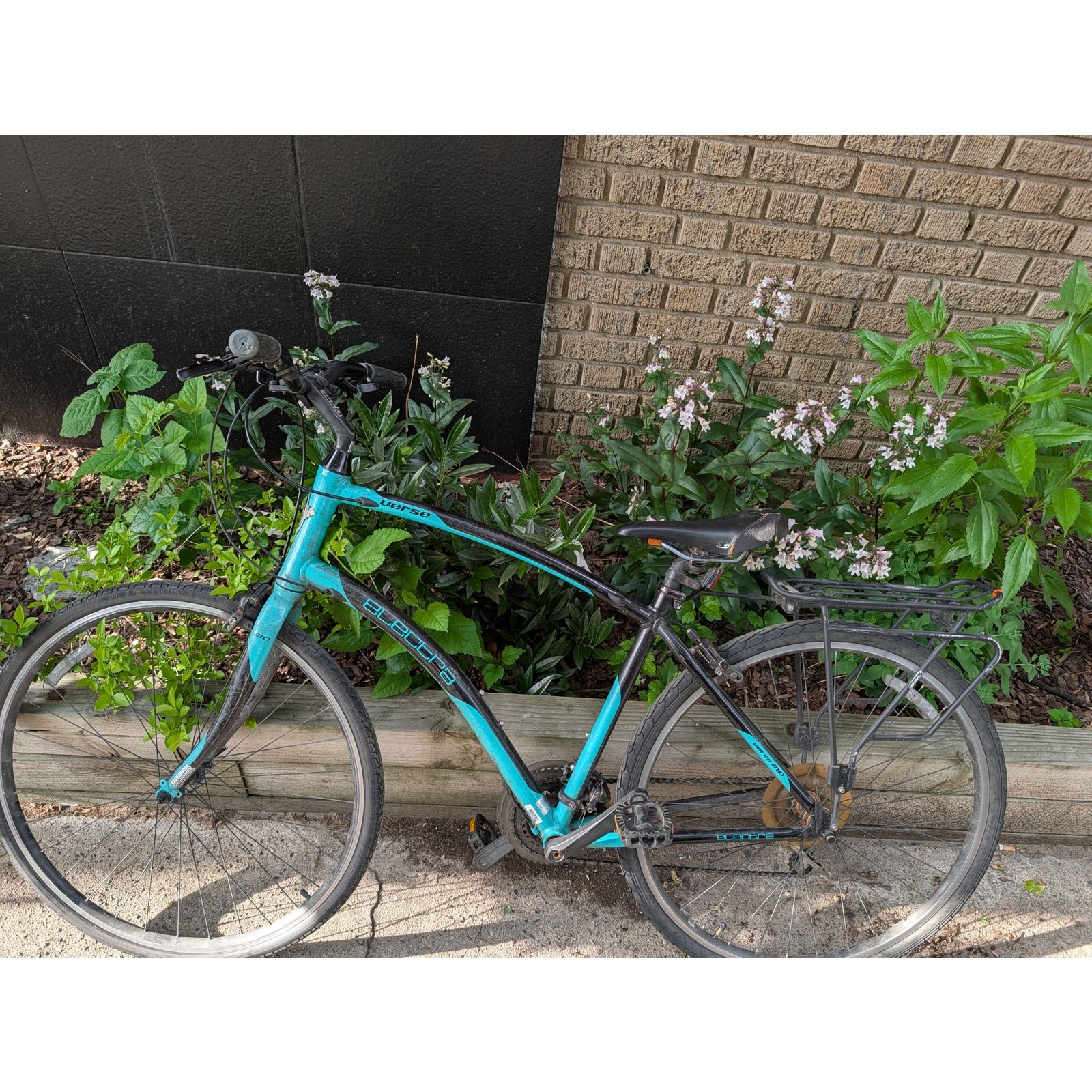 Electra Verse Cruiser Hybrid Bike
