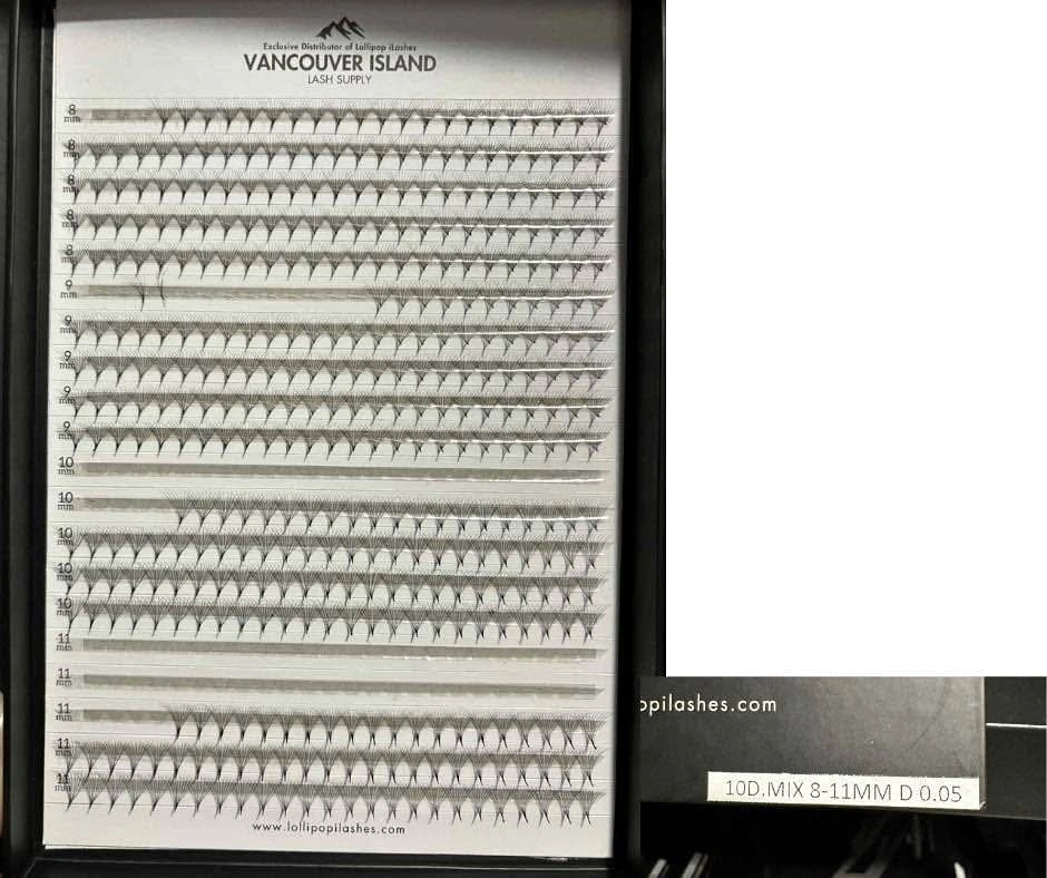 Box of Lash Supplies Assorted Lashes and Pre-Made Fans with Prac