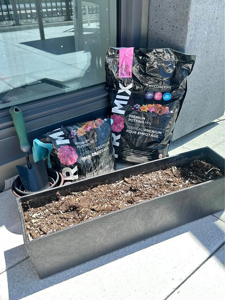 Home garden SET