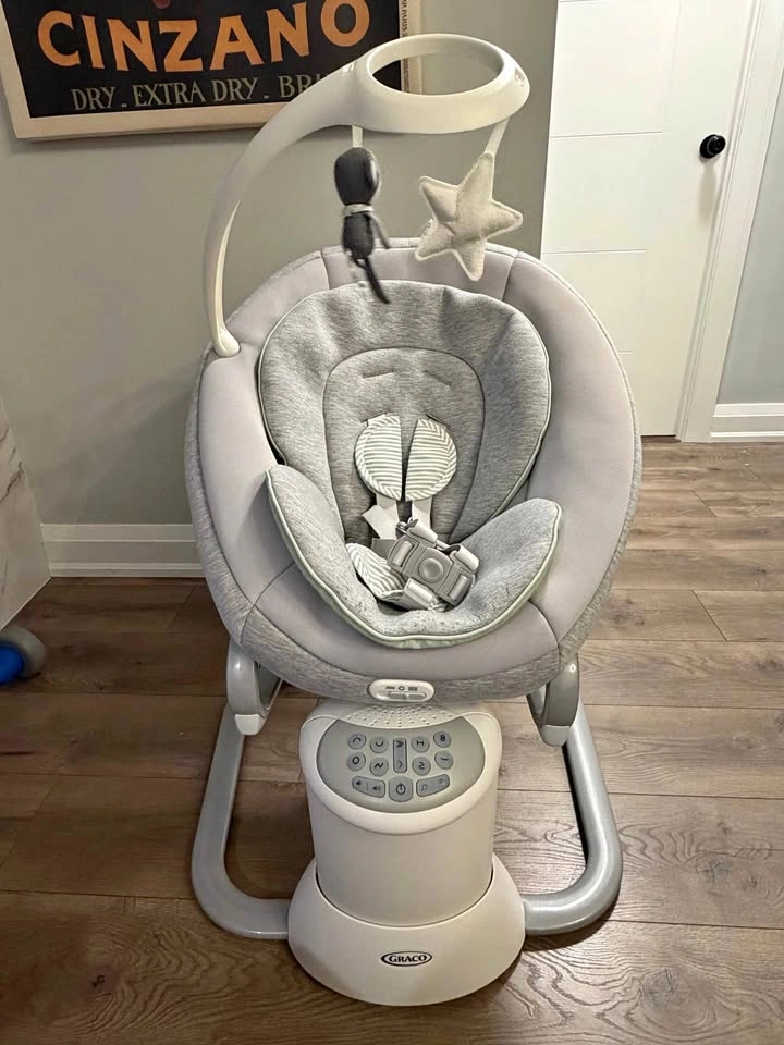 Graco Soothe My Way Baby Swing with Removable Rocker, Madden