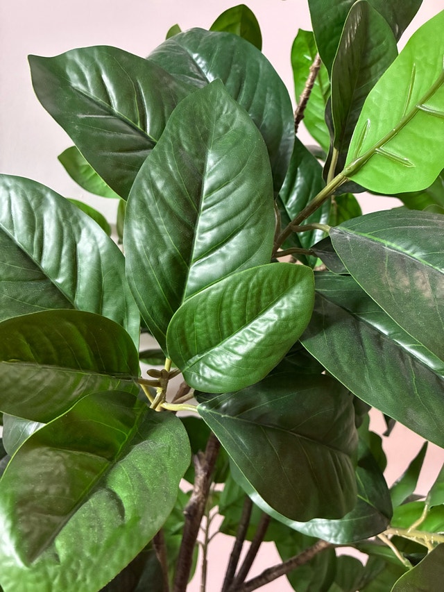 Artificial Potted Plant/Tree - photo 4