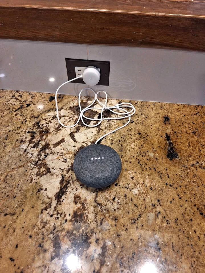 Google Nest Mini
