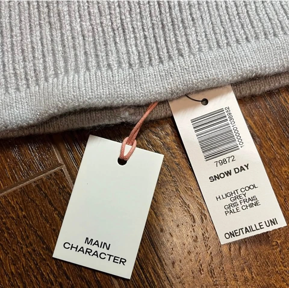 Aritzia Main Character Snow Day Beanie - Light Cool Grey - photo 5