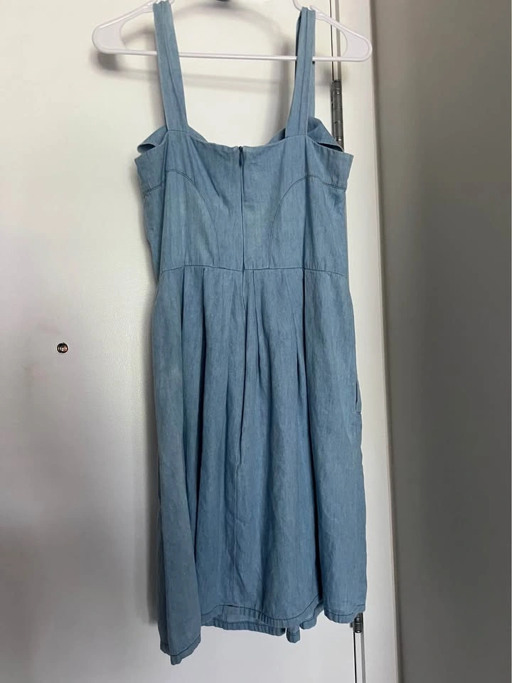 Birds of North America Light Blue Denim Button Front Sleeveless - photo 2