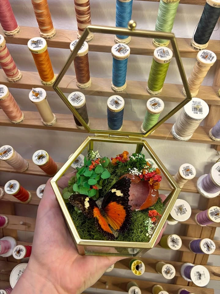 Butterfly and Crystal Terrarium