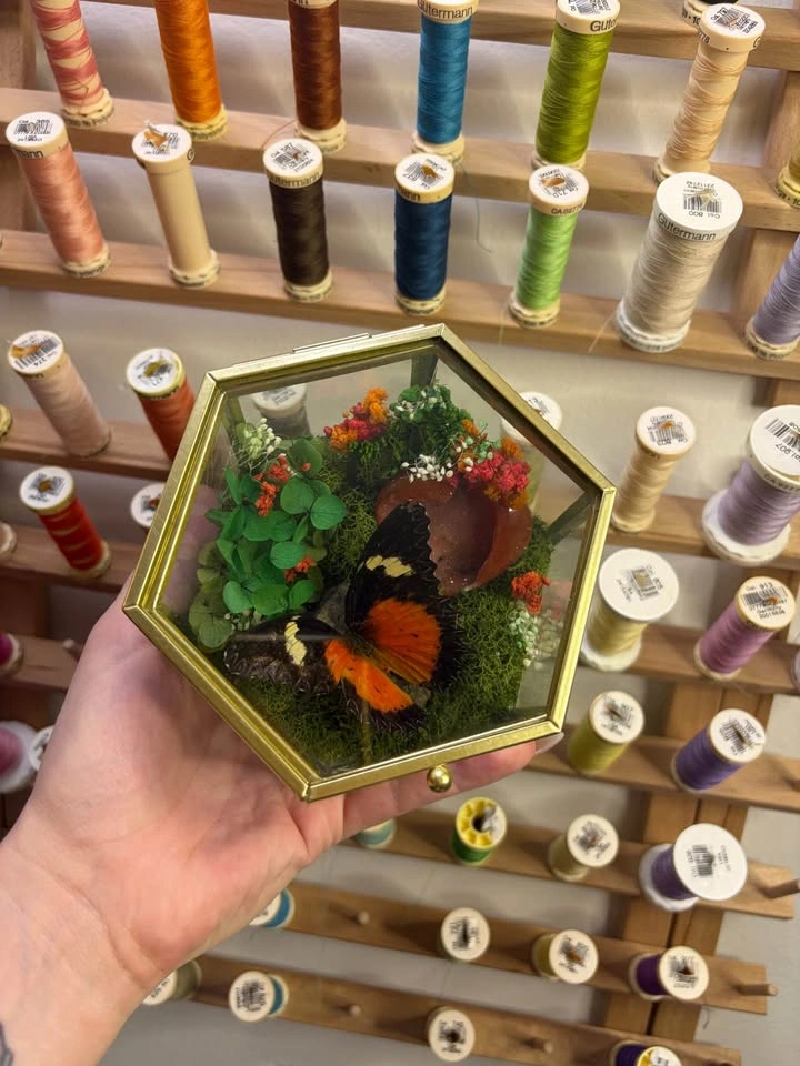 Butterfly and Crystal Terrarium - photo 3