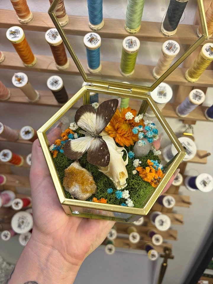 Butterfly and Crystal Terrarium with Mink Skull