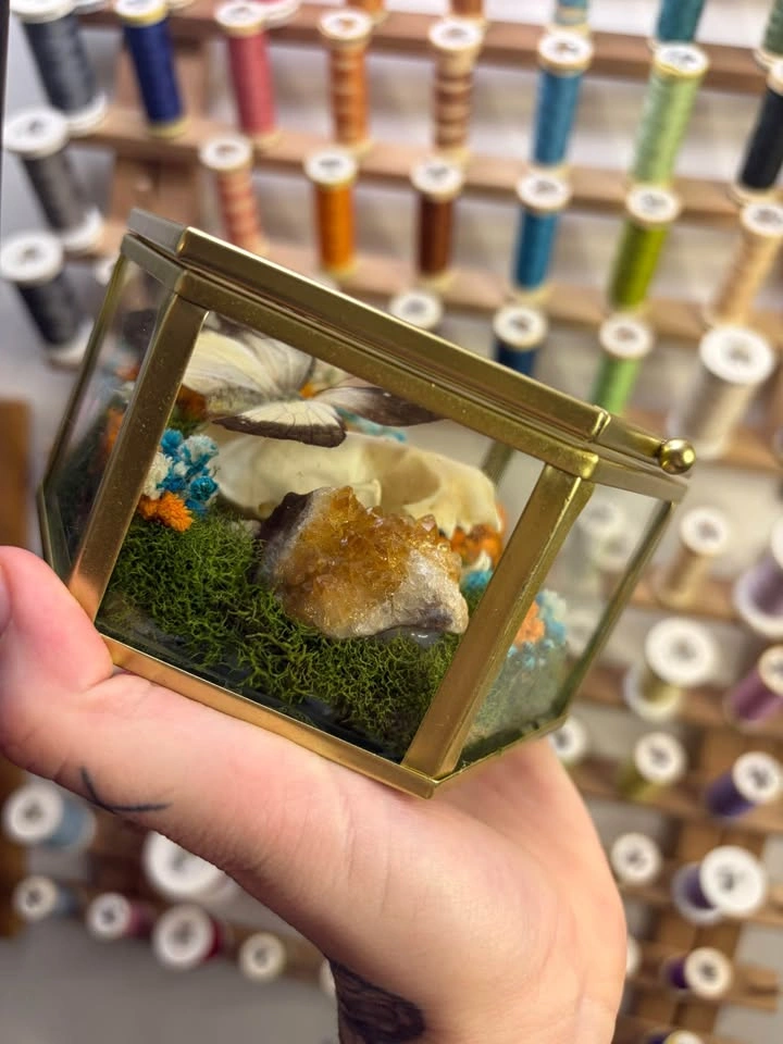 Butterfly and Crystal Terrarium with Mink Skull - photo 3