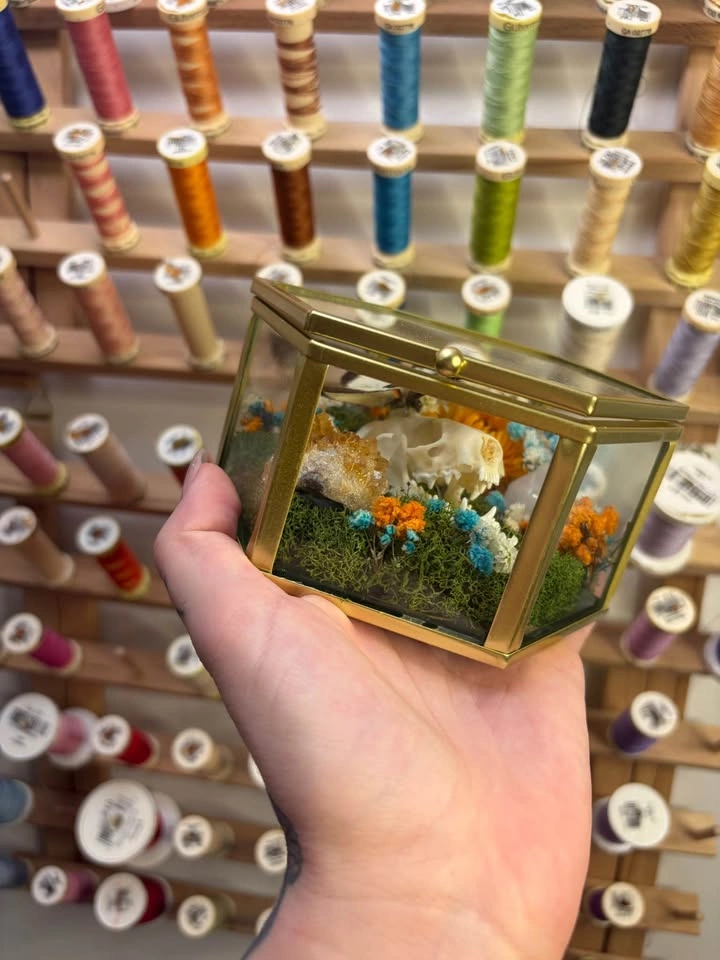 Butterfly and Crystal Terrarium with Mink Skull - photo 4