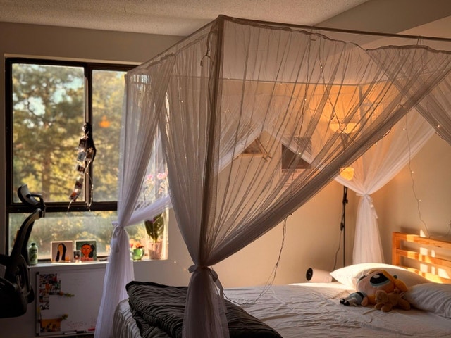 Moving Sale - Bed Frame, Mattress and Canopy