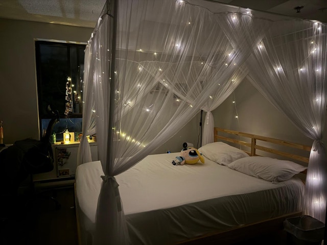 Moving Sale - Bed Frame, Mattress and Canopy - photo 2