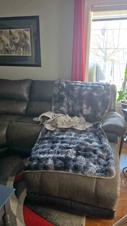 Five piece sectional couch