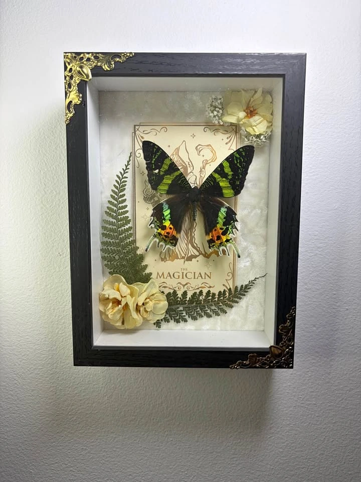 Sunset Moth Framed with Tarot Card