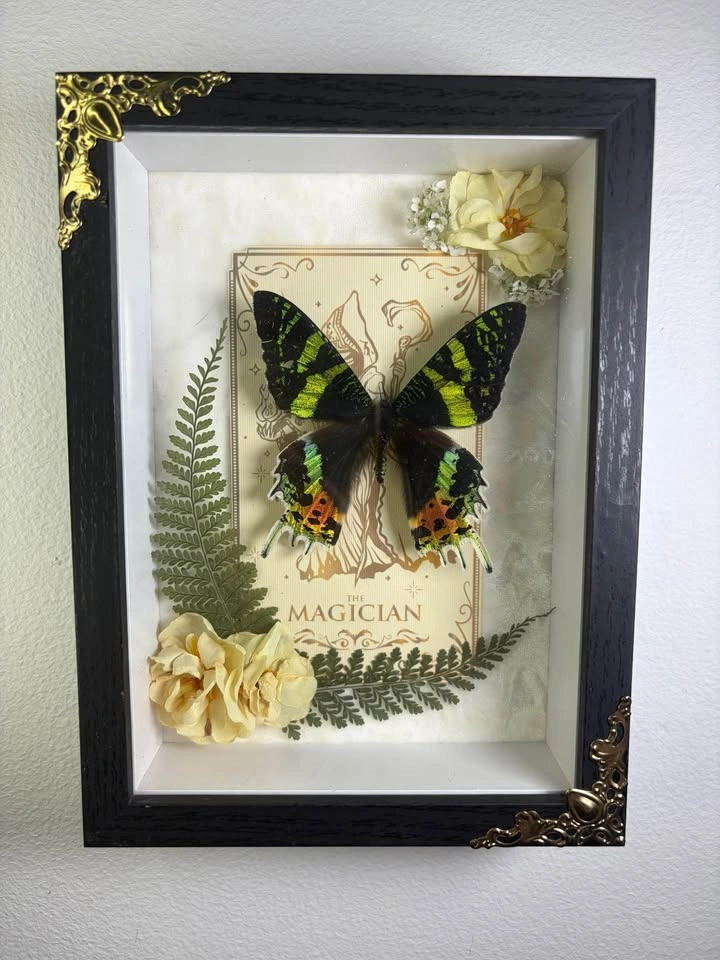 Sunset Moth Framed with Tarot Card - photo 2