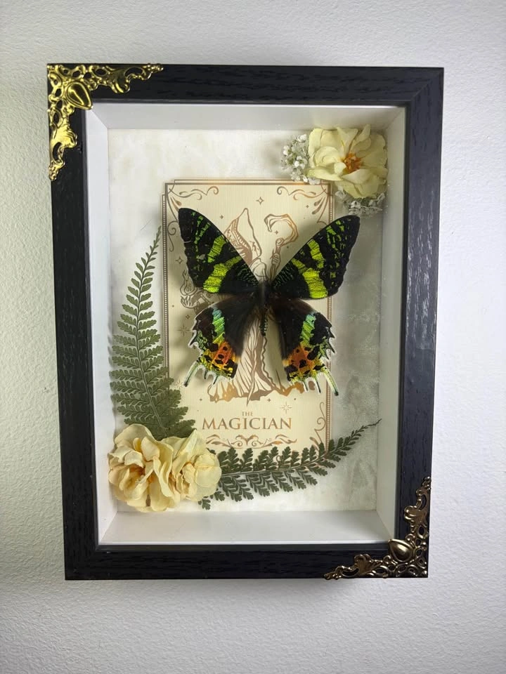 Sunset Moth Framed with Tarot Card - photo 3