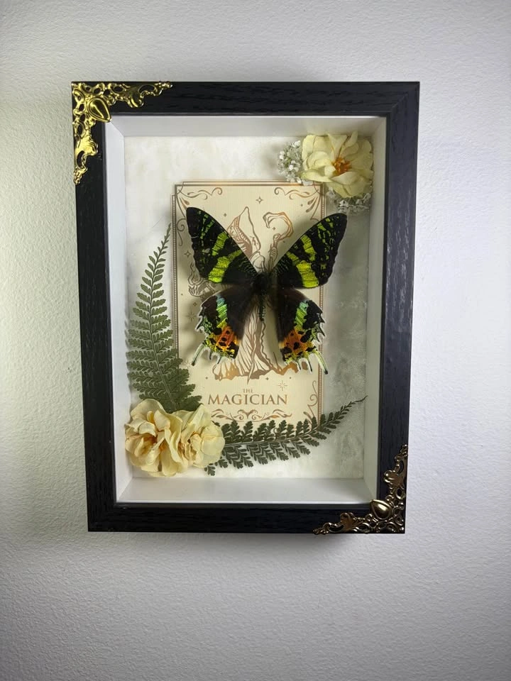 Sunset Moth Framed with Tarot Card - photo 4