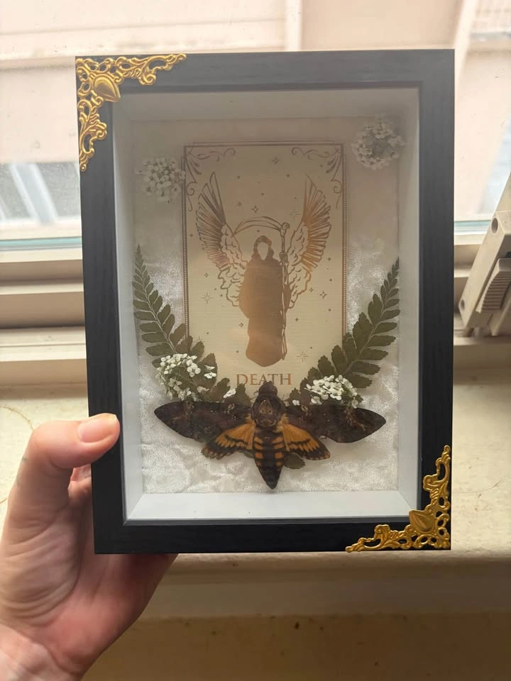 Deaths head Hawk Moth framed with Tarot card - photo 4