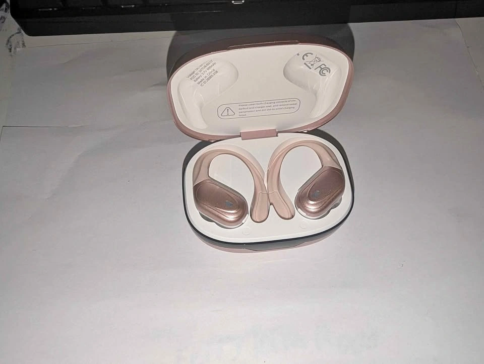 BX17 Wireless Earbuds