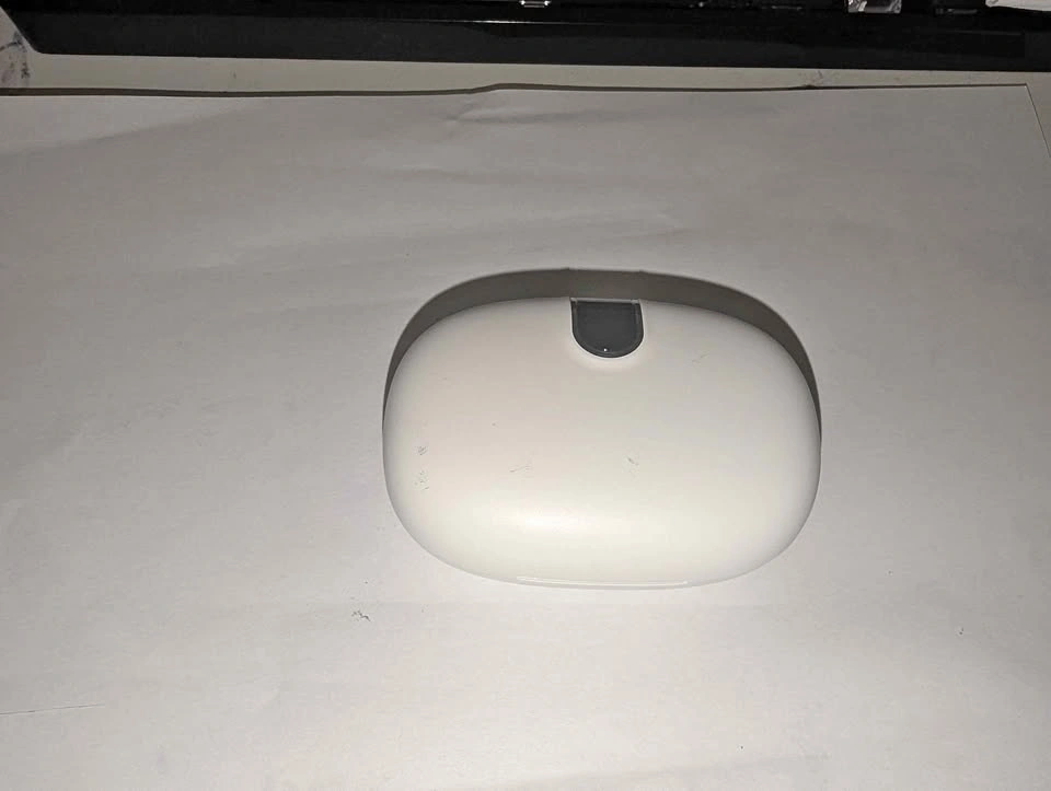 BX29 True Wireless Earbuds