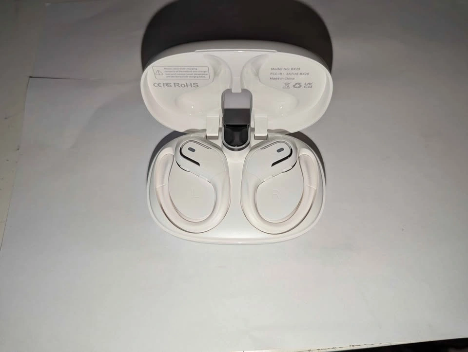 BX29 True Wireless Earbuds - photo 2