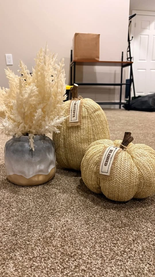 Home Decor Lot - photo 4