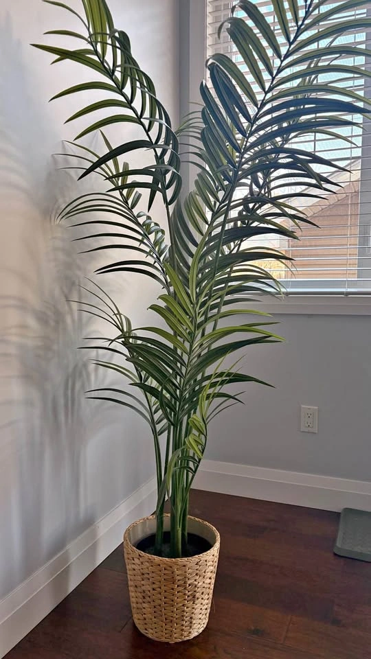IKEA Fejka Plant with Pot