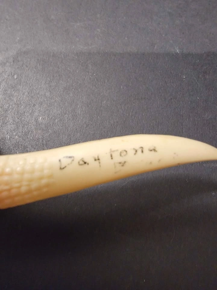 Vintage Daytona Alligator Souvenir Letter Opener - photo 3