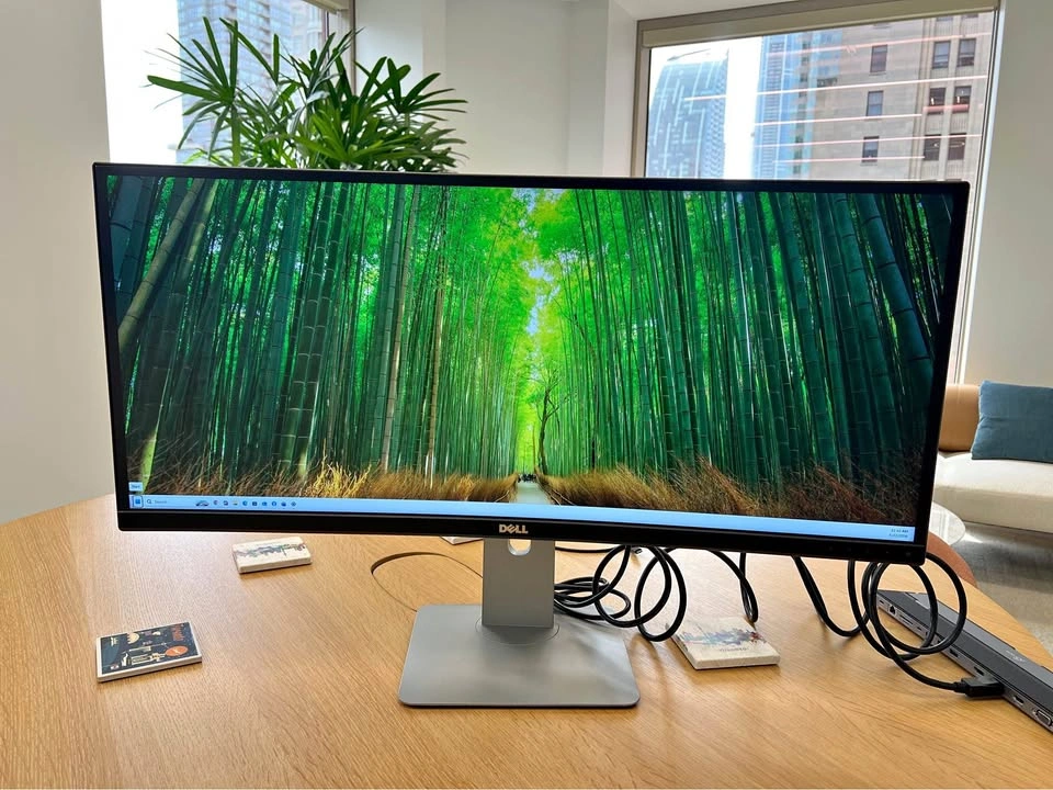 Dell UltraSharp 34” Curved Monitor (Excellent Condition)