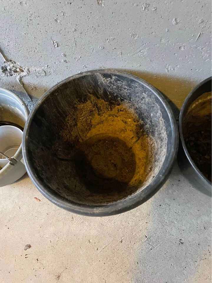 Plant Pots for Sale - photo 2