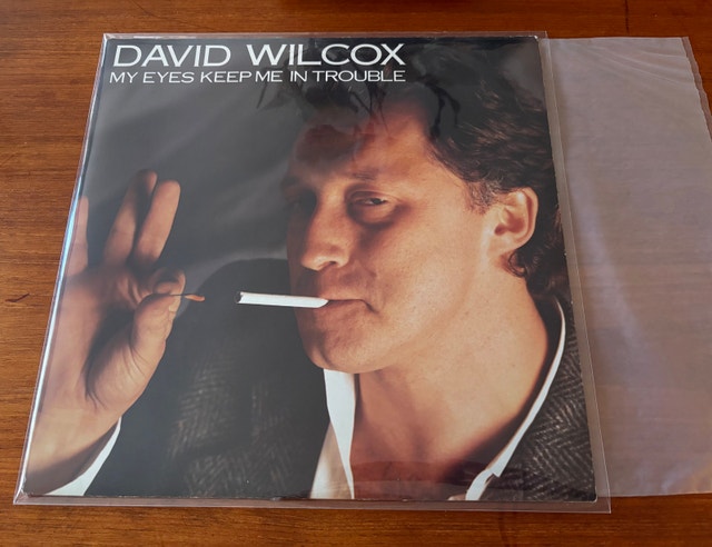 David Wilcox - My Eyes Keep Me In Trouble (1983) Vinyl LP