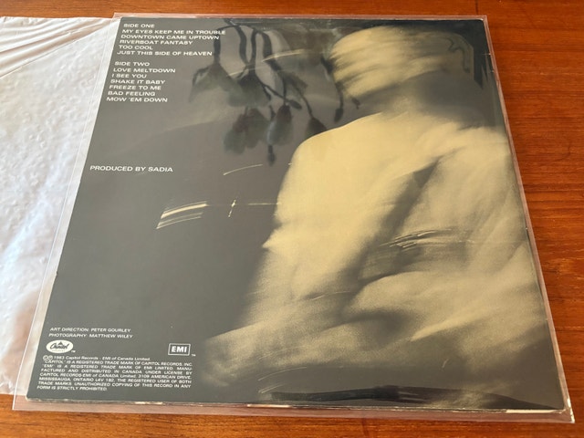 David Wilcox - My Eyes Keep Me In Trouble (1983) Vinyl LP - photo 5