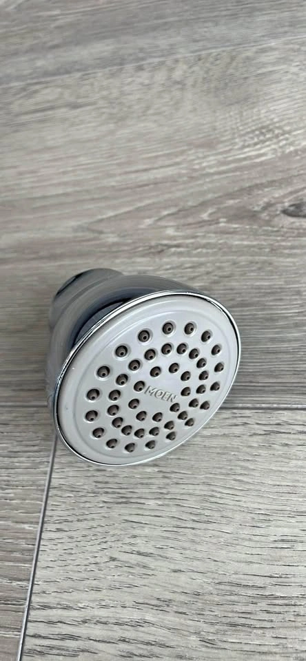 Moen Single Shower Head