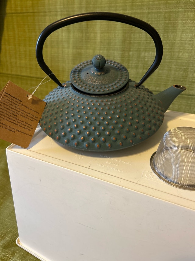 Cast Iron Teapot New
