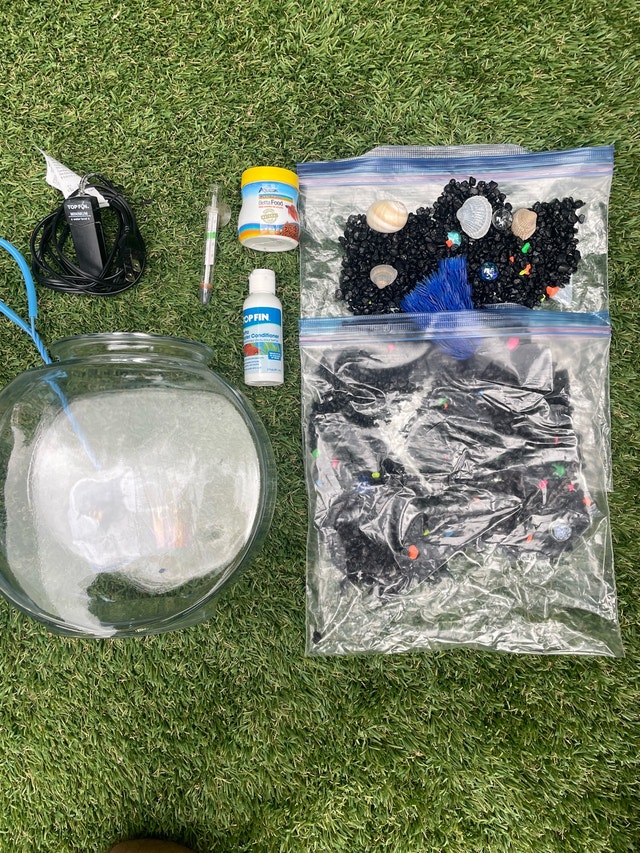 Complete Fish Bowl Set - Just Add Fish!