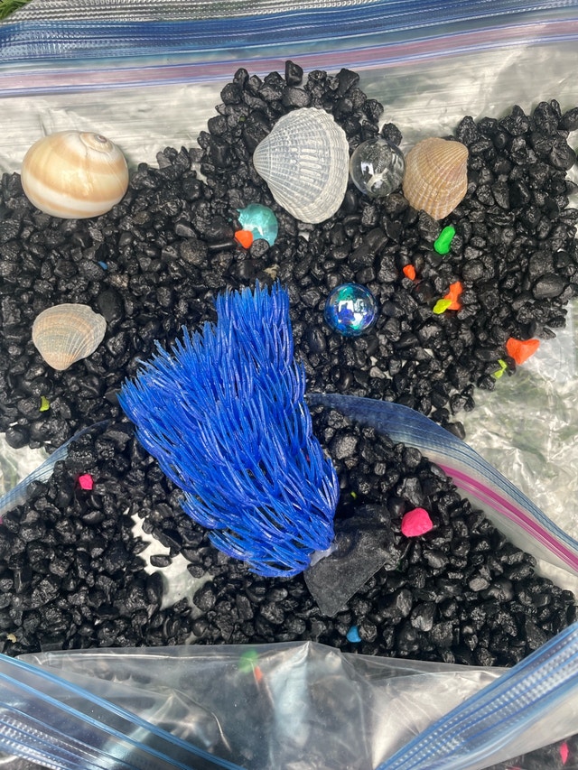 Complete Fish Bowl Set - Just Add Fish! - photo 2