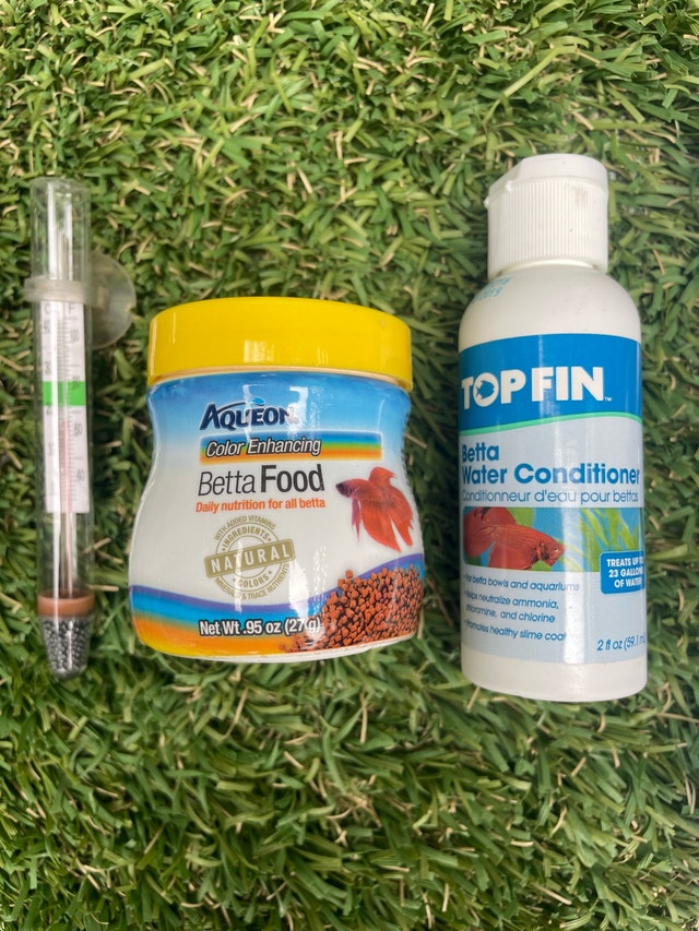 Complete Fish Bowl Set - Just Add Fish! - photo 3