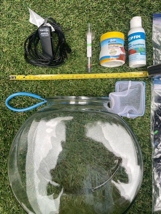 Complete Fish Bowl Set - Just Add Fish! - photo 5