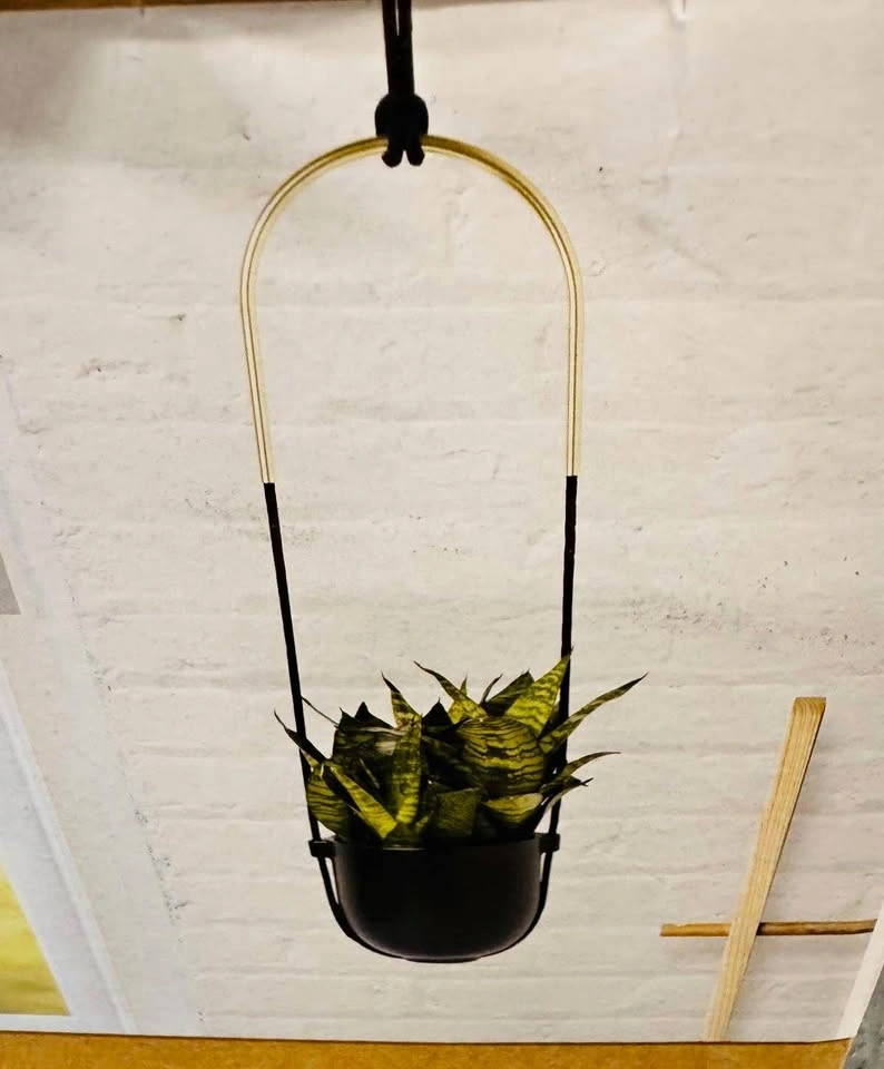 2 NEW Umbra Hanging Planters