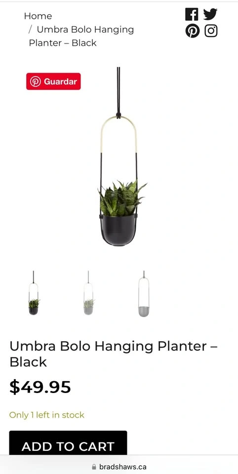2 NEW Umbra Hanging Planters - photo 3