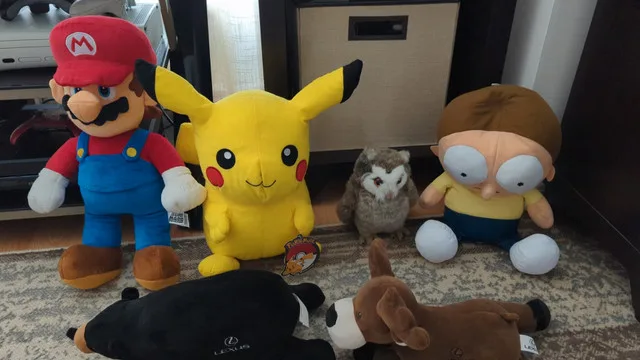 Super Mario Pikachu Harry Potter Owl Morty Plush thumbnail