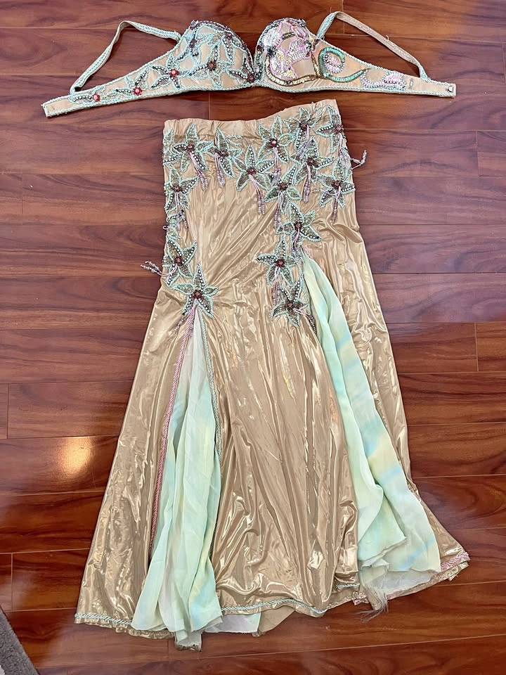 Pro Bellydance Costume - Gold & Light Green