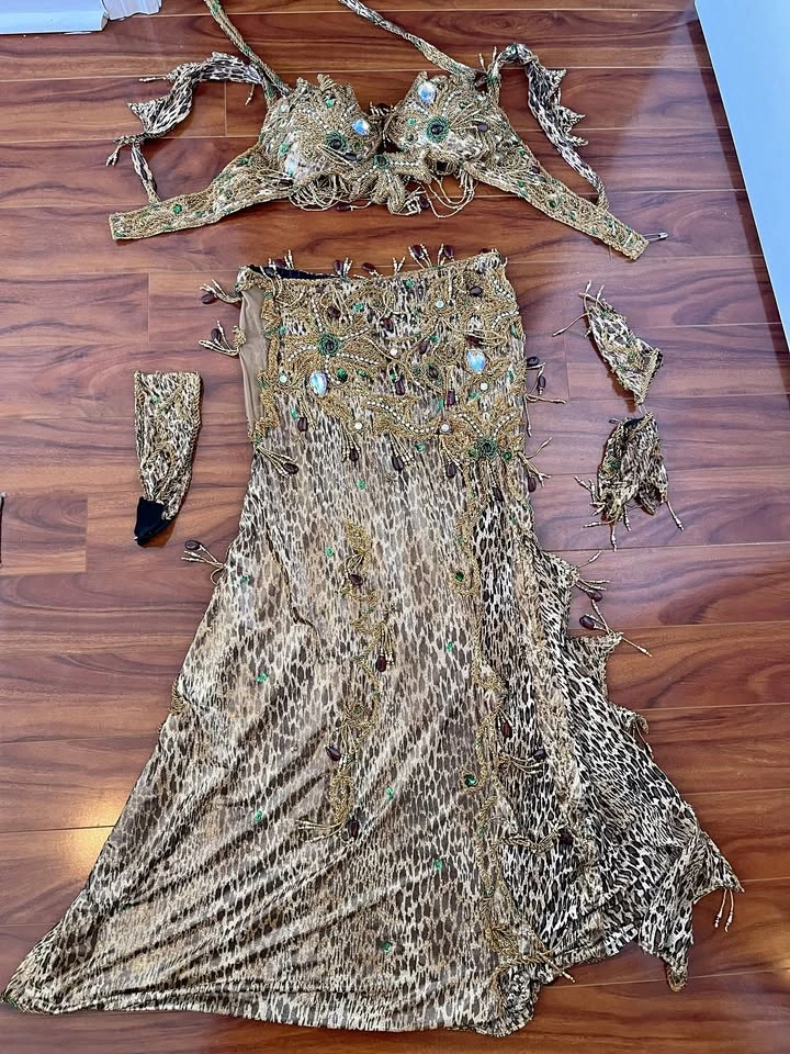 Pro Bellydance Costume - Leopard Print