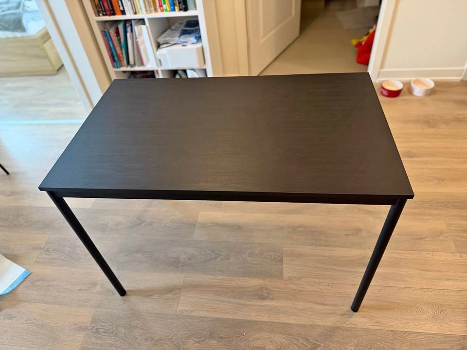IKEA Sandsberg Table and 3 Teodores Chairs
