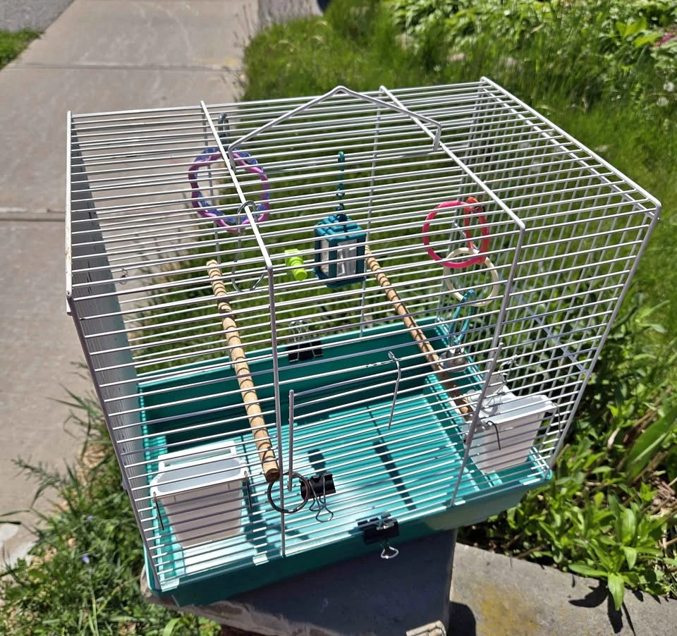 Hamster Cage