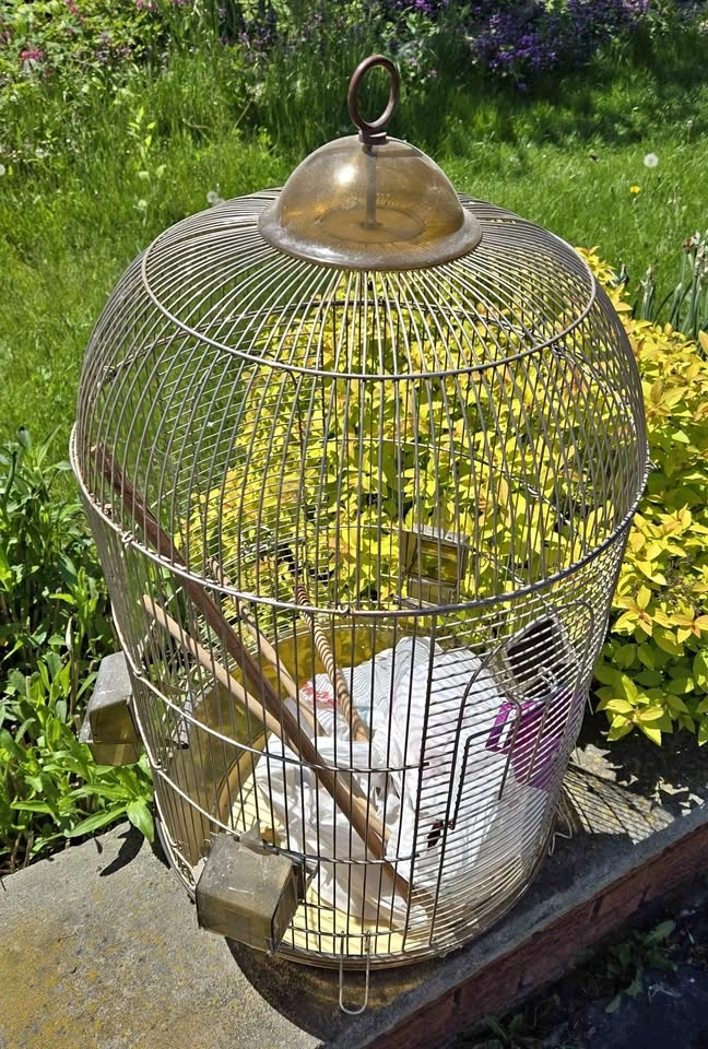 Small parrot cage