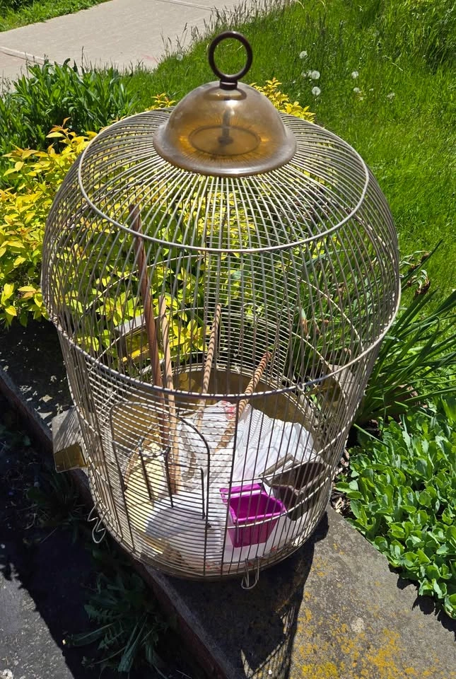 Small parrot cage - photo 2