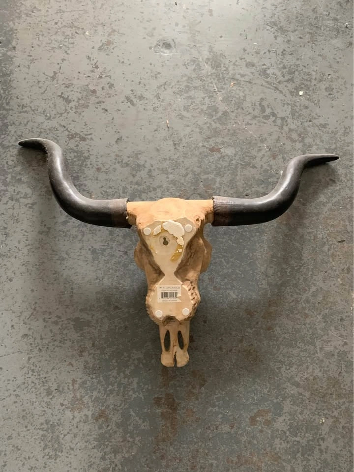 Fake bull skull - photo 2